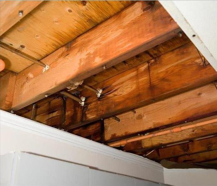 Image of Woods from a Home Damaged due to Flooding