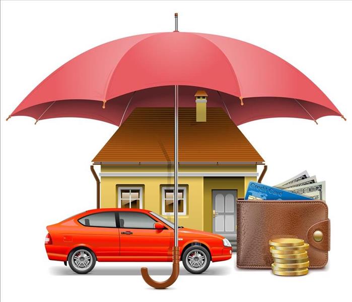 An umbrella protecting a house and a car.